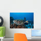 Hawksbill Sea Turtle Swims Wall Decal