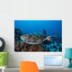 Hawksbill Sea Turtle Swims Wall Decal
