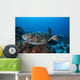 Hawksbill Sea Turtle Swims Wall Decal