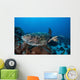 Hawksbill Sea Turtle Swims Wall Decal