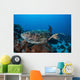 Hawksbill Sea Turtle Swims Wall Decal