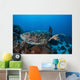 Hawksbill Sea Turtle Swims Wall Decal