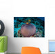 Pink Anemonefish Swim to Wall Decal Design 1