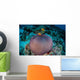 Pink Anemonefish Swim to Wall Decal Design 1