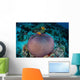 Pink Anemonefish Swim to Wall Decal Design 1