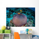 Pink Anemonefish Swim to Wall Decal Design 1