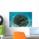 Snorkeler Explores Shallow Lagoon Wall Decal Design 3