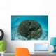 Snorkeler Explores Shallow Lagoon Wall Decal Design 3