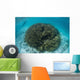 Snorkeler Explores Shallow Lagoon Wall Decal Design 3