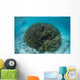 Snorkeler Explores Shallow Lagoon Wall Decal Design 3