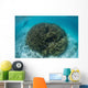 Snorkeler Explores Shallow Lagoon Wall Decal Design 3