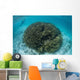 Snorkeler Explores Shallow Lagoon Wall Decal Design 3