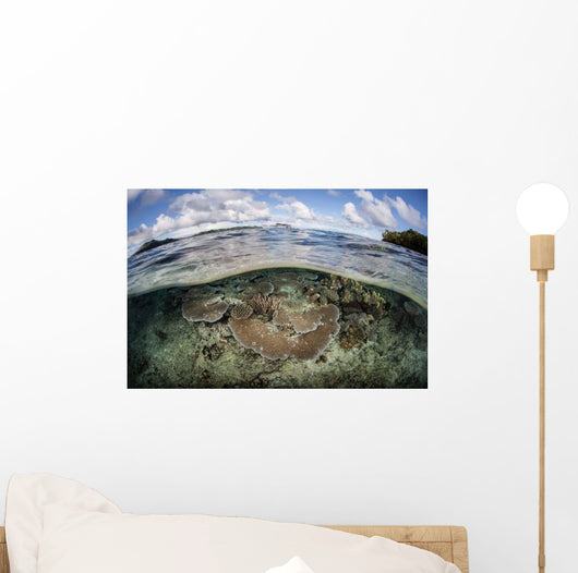 Healthy Coral Reef Grows Wall Decal Design 15