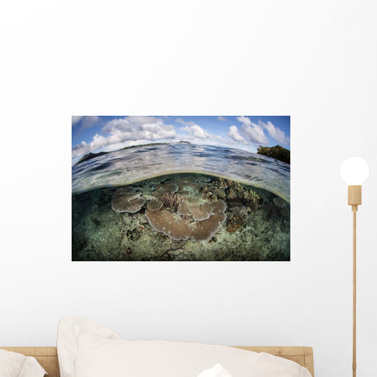 Healthy Coral Reef Grows Wall Decal Design 15