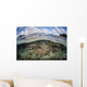 Healthy Coral Reef Grows Wall Decal Design 15
