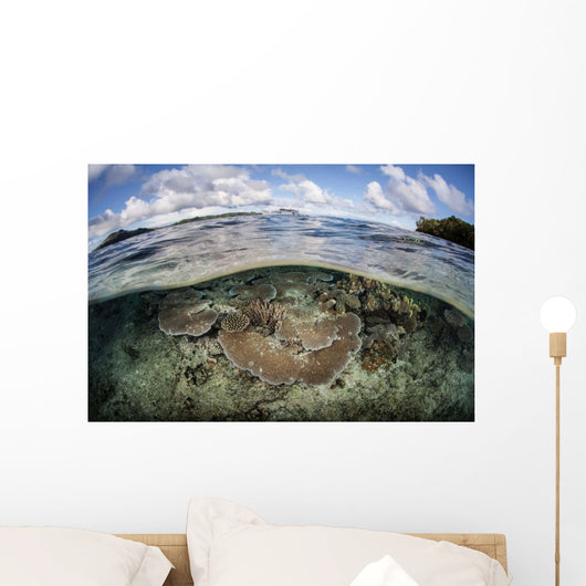 Healthy Coral Reef Grows Wall Decal Design 15