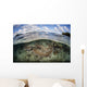 Healthy Coral Reef Grows Wall Decal Design 15