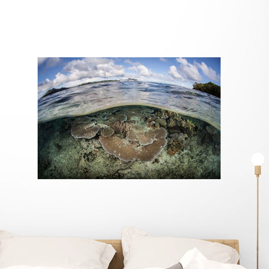 Healthy Coral Reef Grows Wall Decal Design 15