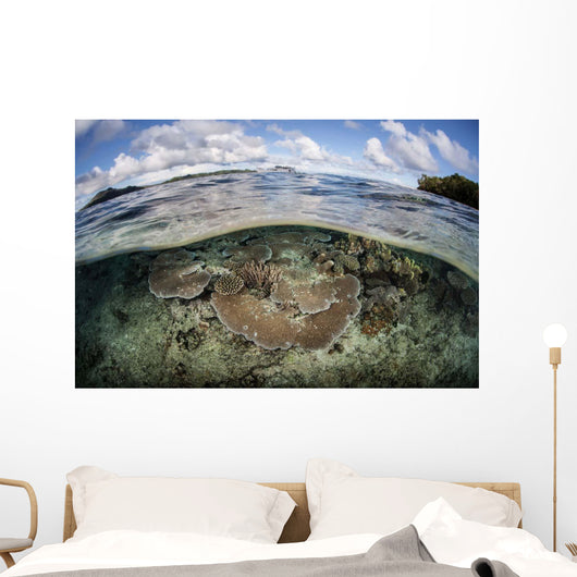 Healthy Coral Reef Grows Wall Decal Design 15