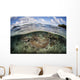 Healthy Coral Reef Grows Wall Decal Design 15