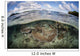 Healthy Coral Reef Grows Wall Decal Design 15