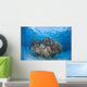 Cardinalfish Surround Coral Bommie Wall Decal