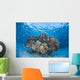 Cardinalfish Surround Coral Bommie Wall Decal