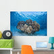 Cardinalfish Surround Coral Bommie Wall Decal