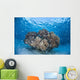 Cardinalfish Surround Coral Bommie Wall Decal