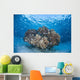 Cardinalfish Surround Coral Bommie Wall Decal