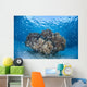 Cardinalfish Surround Coral Bommie Wall Decal