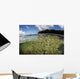 Healthy Coral Reef Grows Wall Decal Design 14
