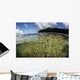 Healthy Coral Reef Grows Wall Decal Design 14