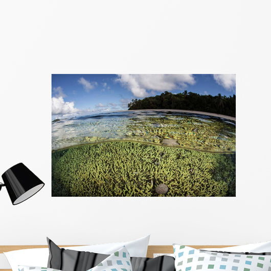 Healthy Coral Reef Grows Wall Decal Design 14