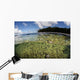 Healthy Coral Reef Grows Wall Decal Design 14