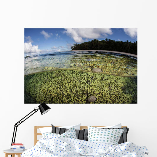 Healthy Coral Reef Grows Wall Decal Design 14