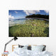 Healthy Coral Reef Grows Wall Decal Design 14