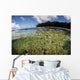Healthy Coral Reef Grows Wall Decal Design 14