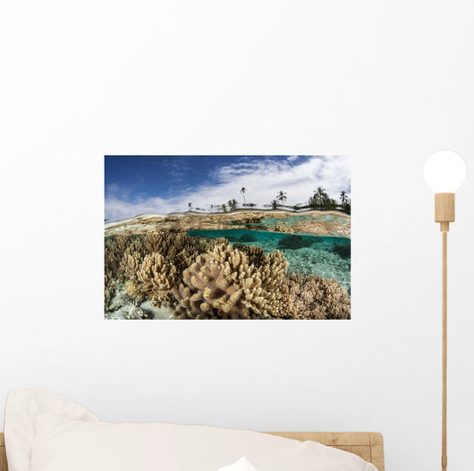 Healthy Coral Reef Grows Wall Decal Design 13