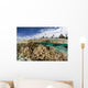 Healthy Coral Reef Grows Wall Decal Design 13