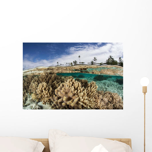 Healthy Coral Reef Grows Wall Decal Design 13