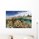 Healthy Coral Reef Grows Wall Decal Design 13