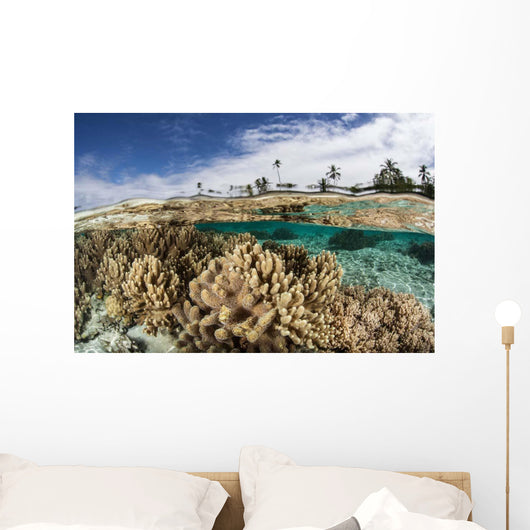 Healthy Coral Reef Grows Wall Decal Design 13