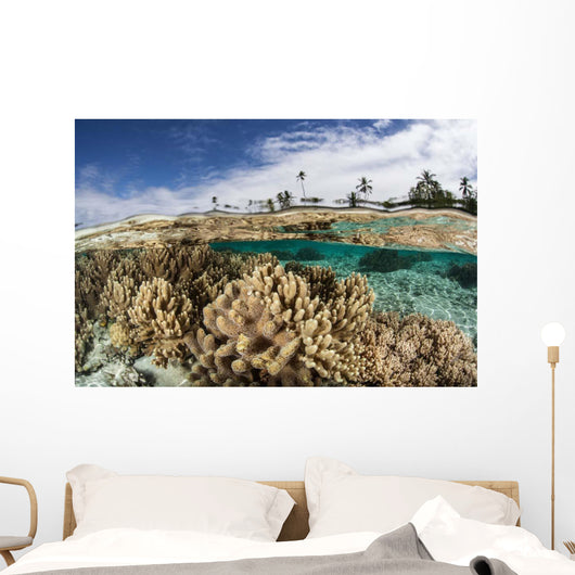 Healthy Coral Reef Grows Wall Decal Design 13