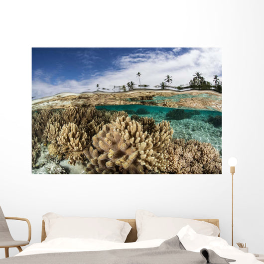 Healthy Coral Reef Grows Wall Decal Design 13