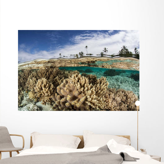 Healthy Coral Reef Grows Wall Decal Design 13