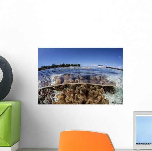 Leather Corals Grow Shallow Wall Decal