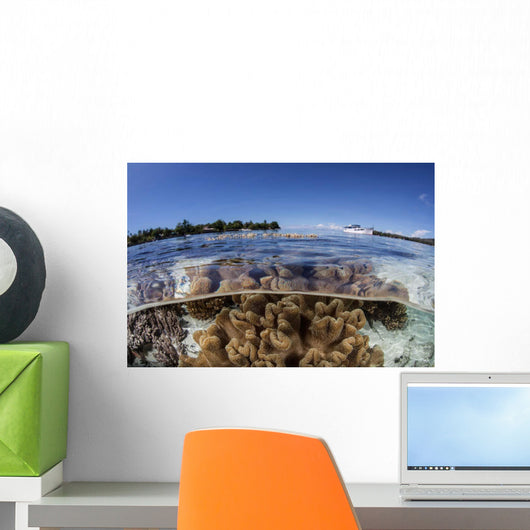 Leather Corals Grow Shallow Wall Decal