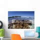 Leather Corals Grow Shallow Wall Decal