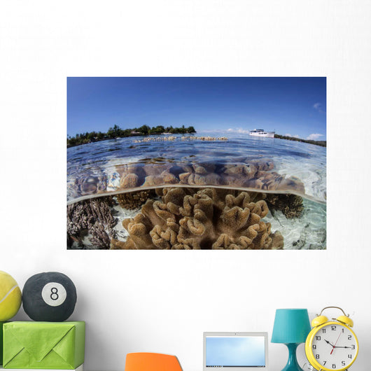 Leather Corals Grow Shallow Wall Decal